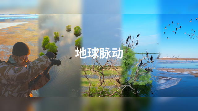 地球脉动