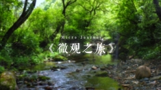 【微观·视频】微观之旅